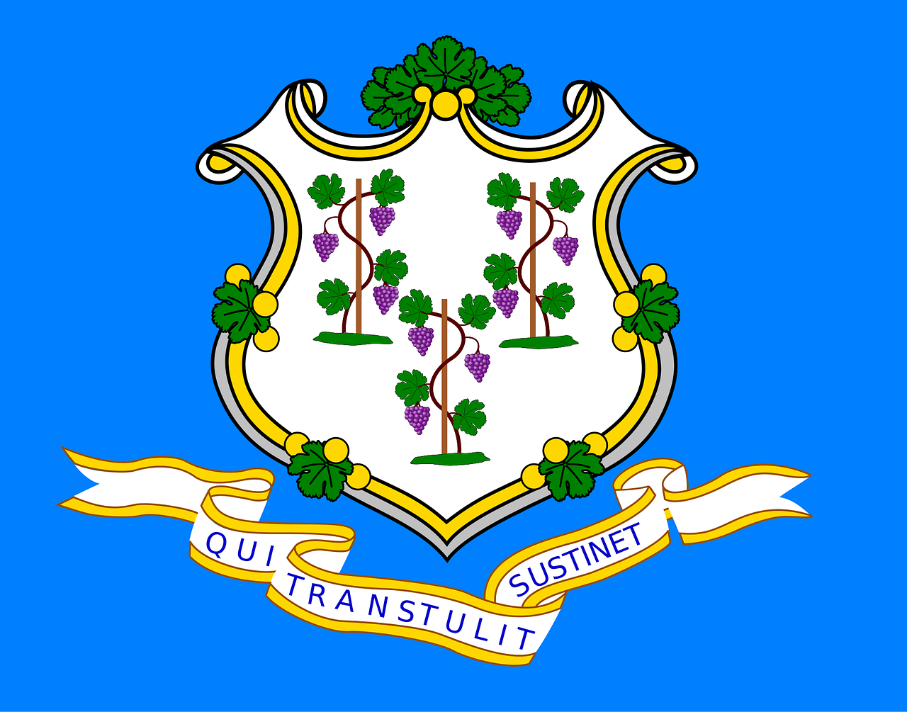 Connecticut Flag